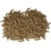 Dairy Cattle Feed